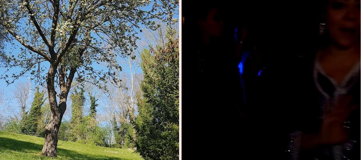 Le Prieure Saint-Arnoult - Photo 2